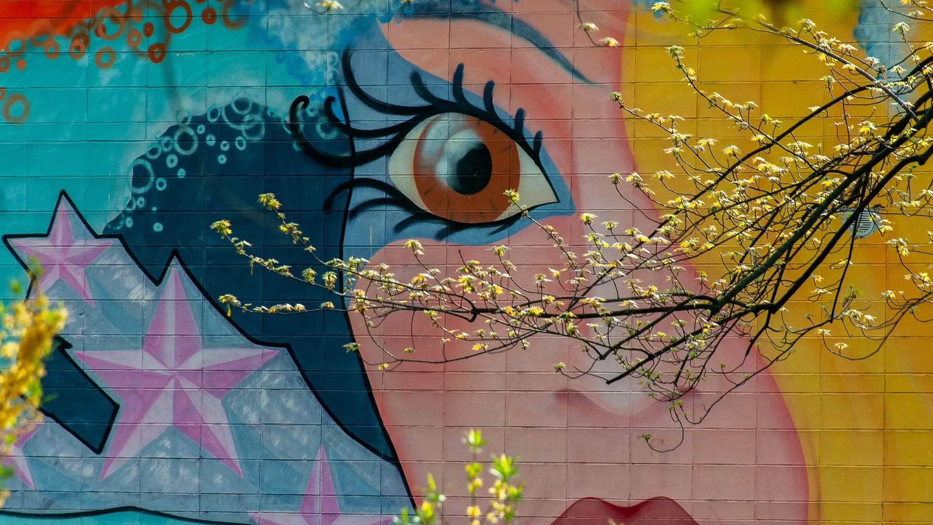 Murale dhe punime të artit urban në Prishtinë